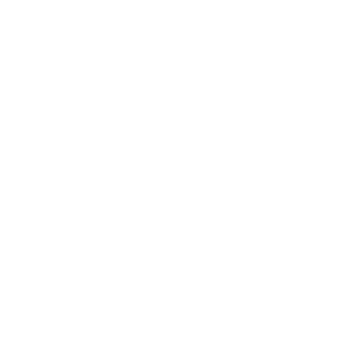 Slide 9